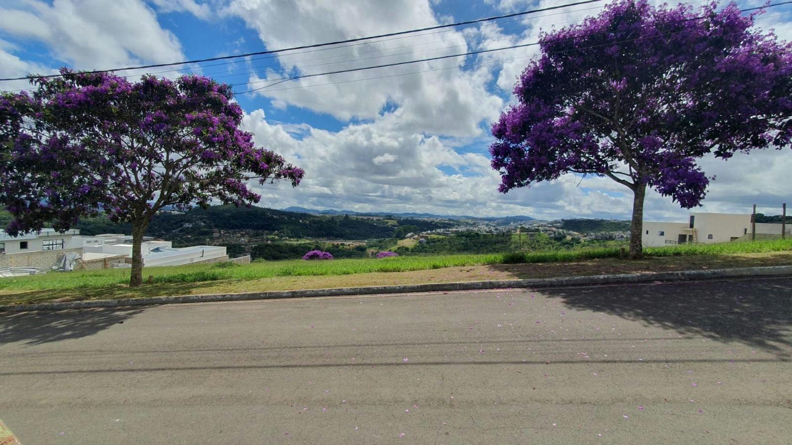 Terreno para Venda em Juiz de Fora / MG no bairro Vina Del Mar