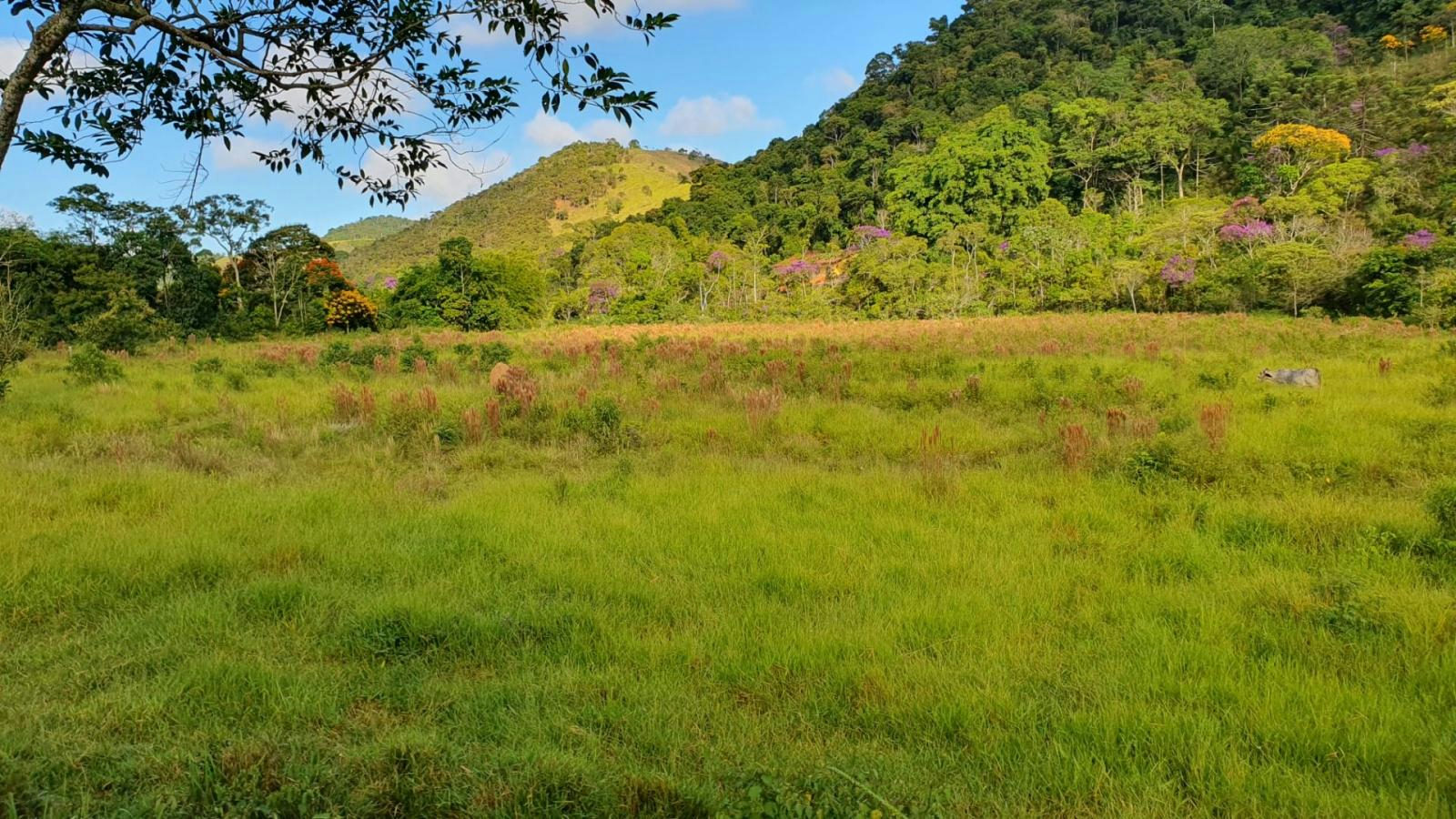 Terreno para Venda em Juiz de Fora / MG no bairro São Pedro